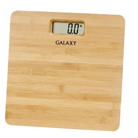 Весы электронные Galaxy GL4809