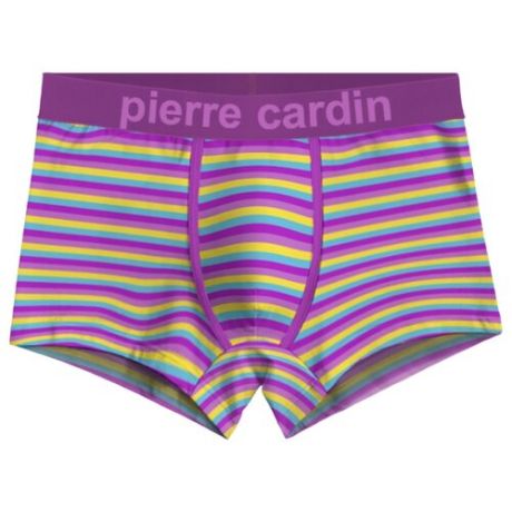 Pierre Cardin Трусы боксеры с