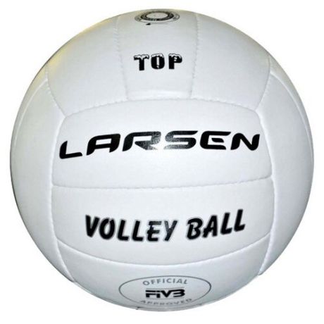 Волейбольный мяч Larsen Top
