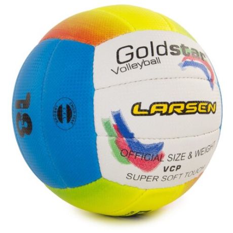 Волейбольный мяч Larsen Gold Star