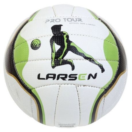 Волейбольный мяч Larsen Pro Tour