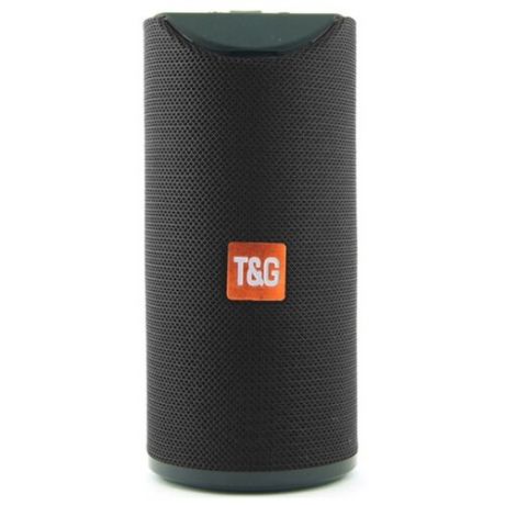 Портативная акустика T&G TG113