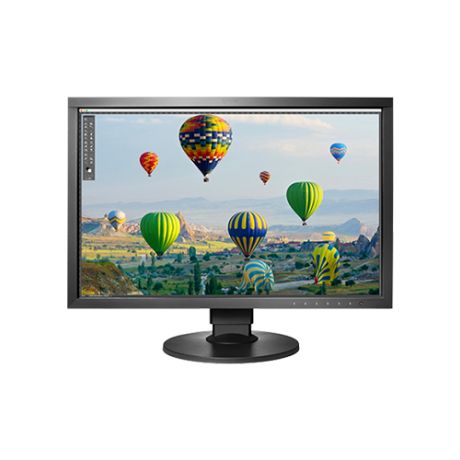 Монитор Eizo CS2410 24.1