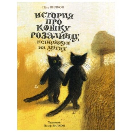 Вилкон П. История про кошку
