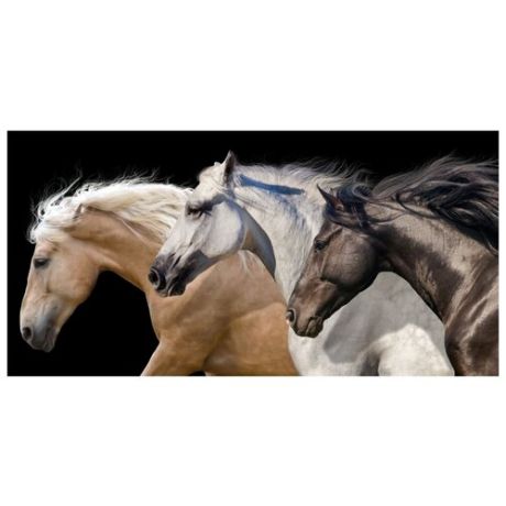 Картина Ekoramka Три коня