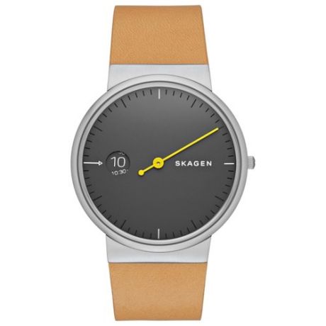 Наручные часы SKAGEN SKW6194