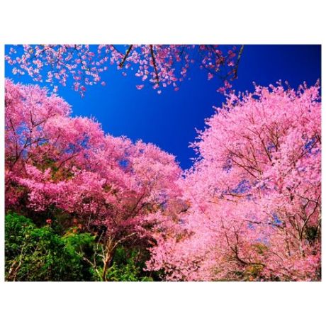 Картина Ekoramka Цветущие деревья