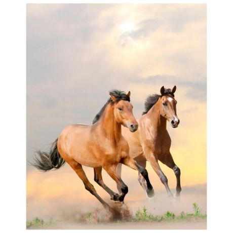 Картина Ekoramka Два коня