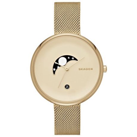 Наручные часы SKAGEN SKW2373