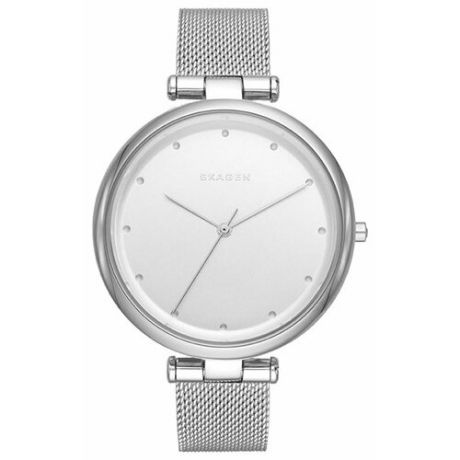 Наручные часы SKAGEN SKW2485