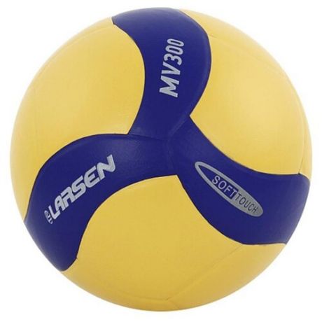 Волейбольный мяч Larsen MV300