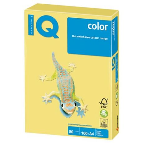 Бумага A4 100 шт. IQ color ZG34