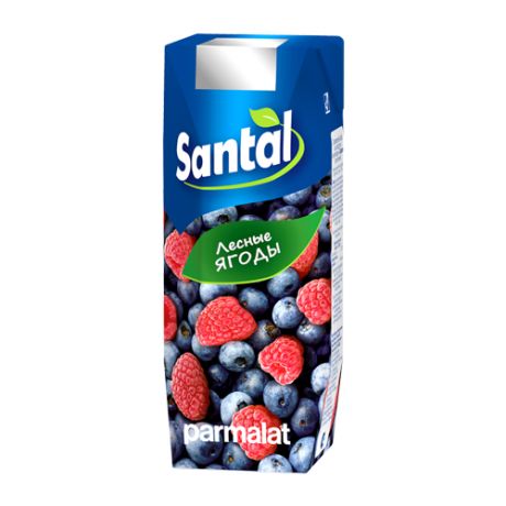 Напиток сокосодержащий Santal