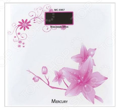 Весы Mercury MC-6967