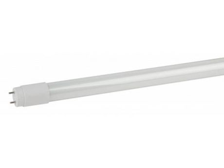 Лампочка Эра LED T8-10Вт-865-6500К-G13-600 Б0033000