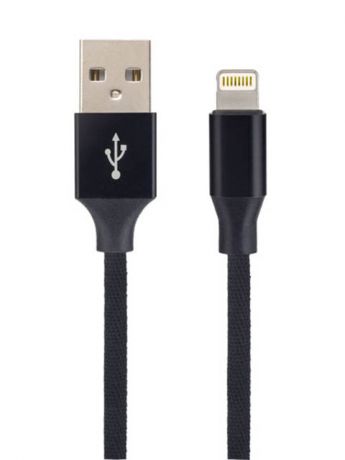 Аксессуар Perfeo USB - Lightning 2m Black I4317