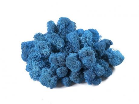 Растение Oktaur Мох Ягель 100g Blue MOSS-YAG-BLUE