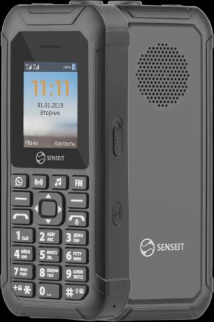 Кнопочный телефон Senseit L250 Black