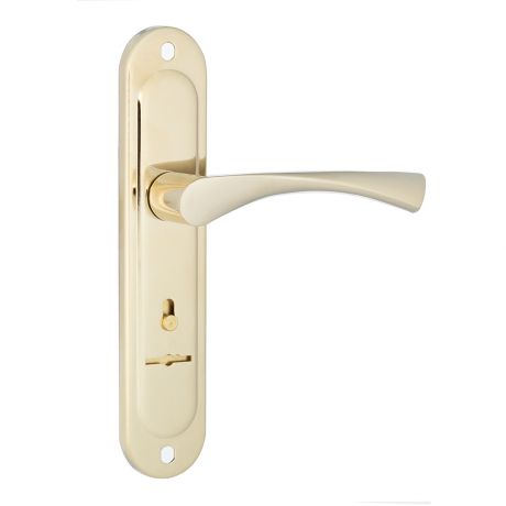 Ручка дверная Apecs HP-77.0323-S-G прямоугольная розетка (золото)