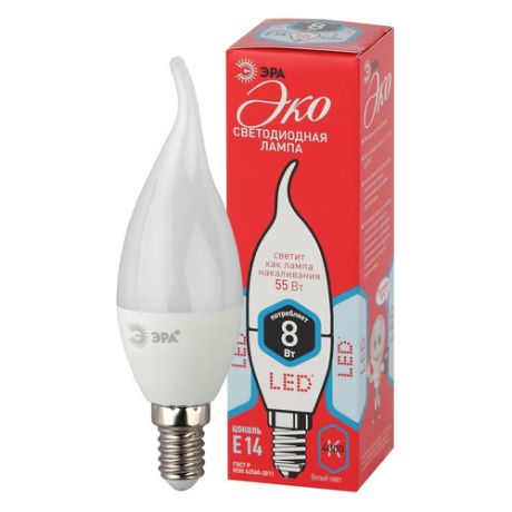 Упаковка ламп ЭРА ECO LED BXS-8W-840-E14, 8Вт, 640lm, 25000ч, 4000К, E14, 5 шт. [б0040884]