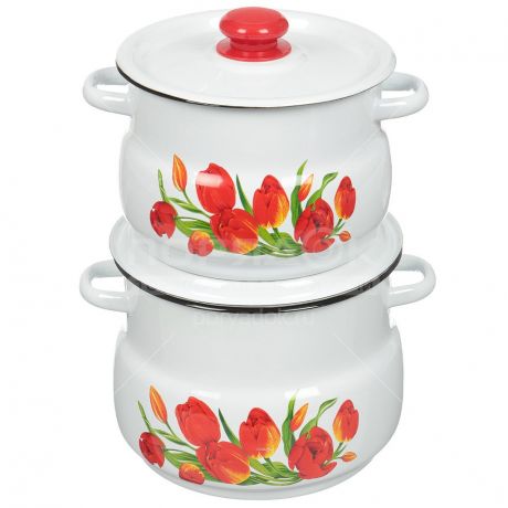 Набор эмалированной посуды Сибирские товары Тюльпаны 10 N10B78 (кастрюля 4+5.5 л), 4 предмета