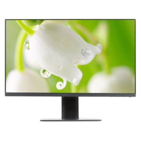 Монитор XIAOMI Mi Desktop Monitor 23.8", черный [xmmnt238cb]