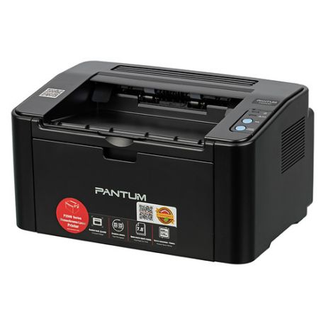 Принтер лазерный PANTUM P2500 лазерный, цвет: черный