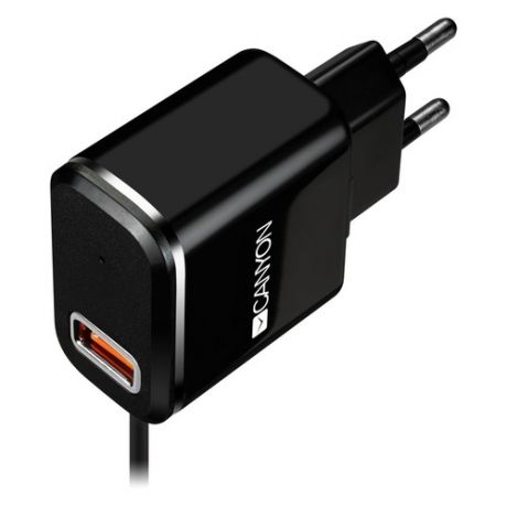 Сетевое зарядное устройство CANYON CNE-CHA041BS, USB, microUSB, 2.1A, черный/серебристый