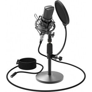Микрофон Ritmix RDM-175 black