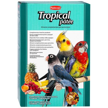 Корм Padovan Tropikal patee комплексный фруктовый для средних попугаев 700 г