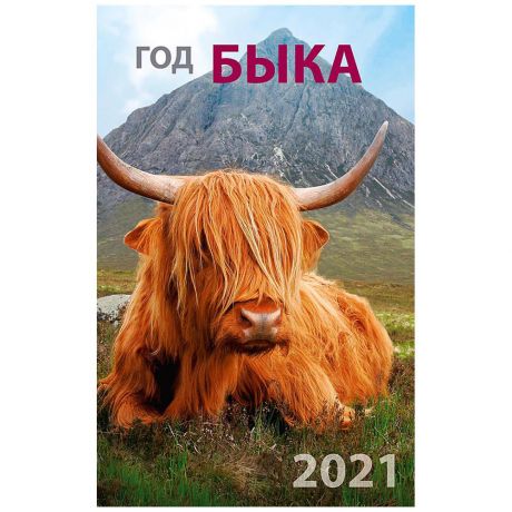 Календарь Арт Дизайн 2021 Год быка спираль 280х440 мм