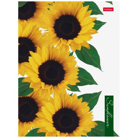 Тетрадь Hatber Sunflowers А5 160 листов в клетку на кольцах