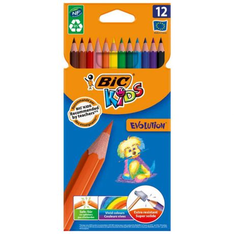 Цветные карандаши Bic пластиковые Кидс Эволюшн 12 цветов
