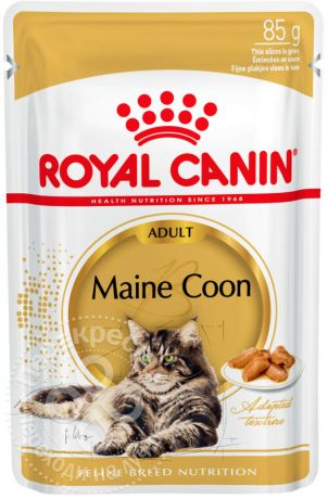 Корм для кошек Royal Canin Maine Coon Мясо в соусе 85г (упаковка 12 шт.)