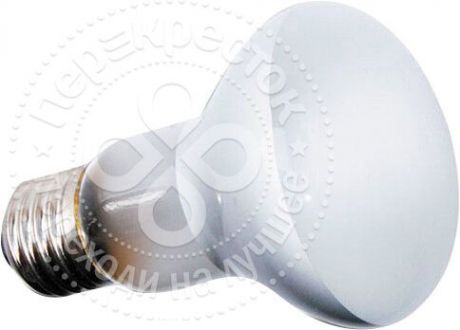 Лампа Reptizoo BS63035 Beam Spot Heat Lamps стандар греющая