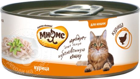 Корм для кошек Мнямс Курица нежном в желе 70г