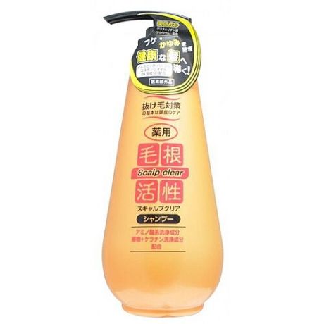 JunLove Шампунь Scalp Clear Shampoo для Волос против Перхоти, 500 мл