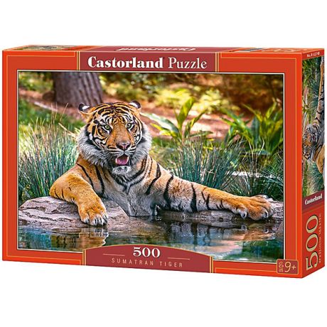 Castorland Пазл Castorland "Тигр" 500 деталей