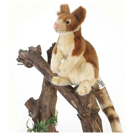 Hansa Мягкая игрушка Hansa "Древесный кенгуру", 23 см