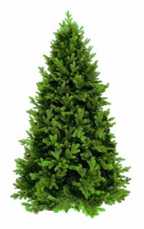 Ель Triumph Tree Ель Царская 155cm Green 73639 / 389565