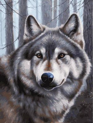 Картина по номерам Белоснежка 30*40 см 090-AS Волк