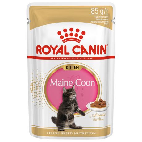 Корм влажный Royal Canin Kitten Maine Coon для кошек породы мейн-кун в возрасте от 3 до 15 месяцев 85 г