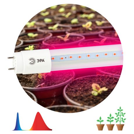 лампа светодиодная д/растений ФИТО ЭРА T8 18Вт G13 сине-красный спектр