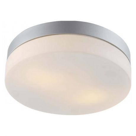 светильник настенно-потолочный для ванной Aqua 2х60Вт E27 230В металл крашеный серебро
