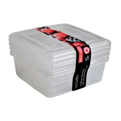 набор контейнеров PLAST TEAM, 3 шт, 0,5 л, 12х12х7 см, для заморозки, квадратные, пластик