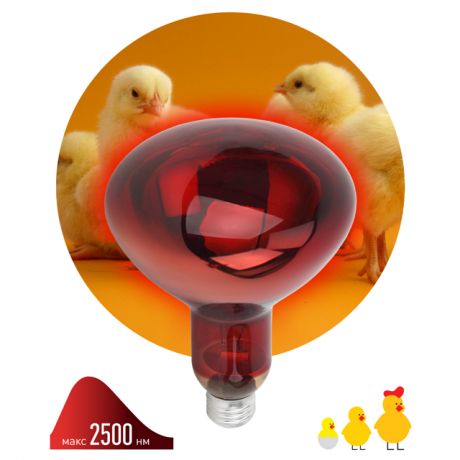 лампа инфракрасная для растений и животных ЭРА 250Вт E27 зеркальная рефлектор