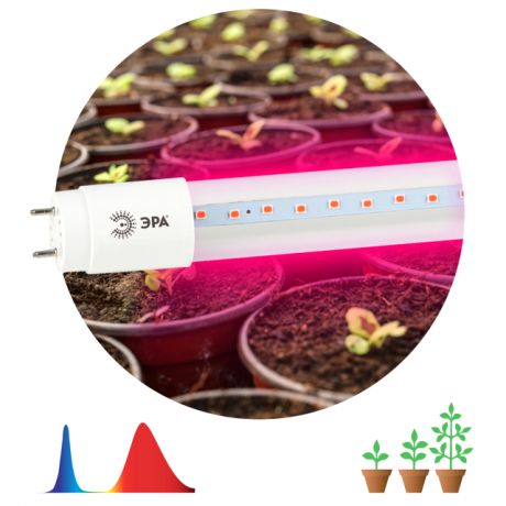 лампа светодиодная д/растений ФИТО ЭРА T8 9Вт G13 сине-красный спектр