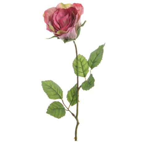 растение искусственное Роза бело-розовая 45см