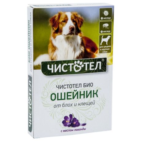 биоошейник для собак от блох ЧИСТОТЕЛ 65см с маслом лаванды