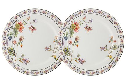 Набор закусочных тарелок Флора, 20.5 см, белый, 2 шт AL-1557W-PP-P4 Anna Lafarg